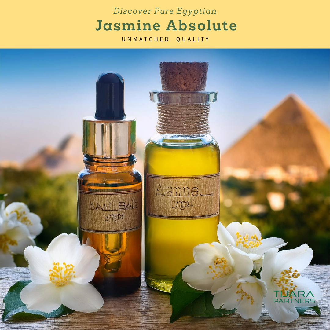 Pure Egyptian Jasmine Absolute – Bulk Luxury for Perfumery, Cosmetics & Skincare