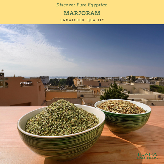 Fresh Egyptian Marjoram – Aromatic & Premium, Available in 10 lb Wholesale Bulk